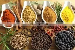 Automatic Electromagnetic Vibrating Feeder for Granular/powder/moist/sticky Products Use thumbnail-5