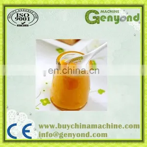 Alphonso Mango Puree Production Making Line thumbnail-5