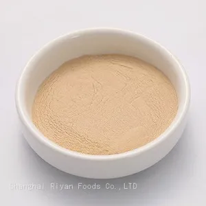 Shiitake Extract Powder CN thumbnail-1
