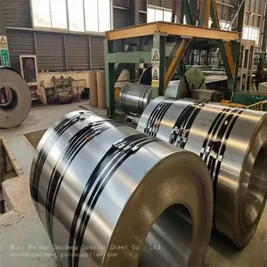 1.4460 Stainless Steel Coil for Marine Equipment, SUS631/F52, With Wear and Corrosion Resistance thumbnail-4