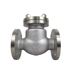 High-Quality Stainless Steel Swing Check Valve thumbnail-2