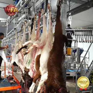 Turnkey Solution Cow Slaughterhouse Beef Slaughtering Processing Line Machinery Cattle Slaughter Equipment thumbnail-2