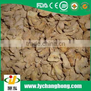 Factory Wholesale Dry Ginger With High Quality thumbnail-1