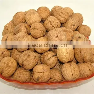 Organic Walnuts in Shell, Best Price thumbnail-2