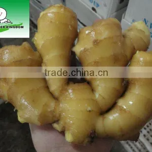 Fresh Ginger thumbnail-1
