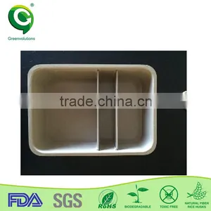 Kids Organic Bento Lunch Box thumbnail-5