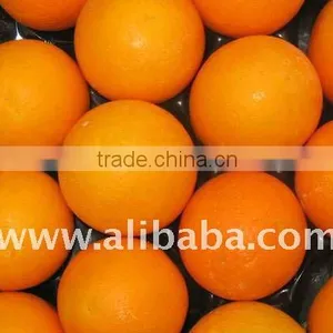 Fresh Orange thumbnail-1