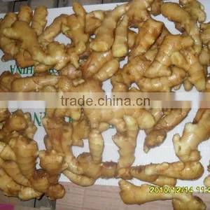 Market Price for Big Ginger thumbnail-1