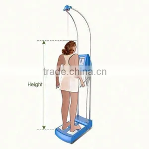 2016 GS6.6 Factory Direct Fat Burn Body Massager thumbnail-1