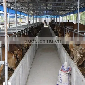 LTX006 Steel Structure Cow Shed thumbnail-5
