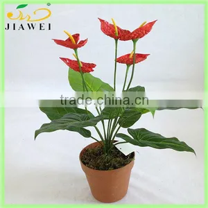 Wholesale Indoor Fake Anthurium Bonsai Trees thumbnail-1