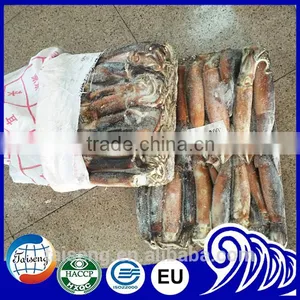 Frozen Illex Squid as Live Bait for Tuna Fishing thumbnail-1
