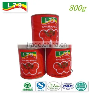 800g Hot Sell Good Quality of Ningbo Tomato Paste Factory/plant/manufacture/exporter thumbnail-1