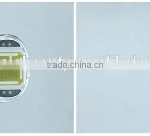 YL-LW008 RF Photon Facial Beauty Device 2 IN 1 thumbnail-5