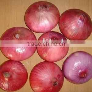 New Crop Red Onion thumbnail-1
