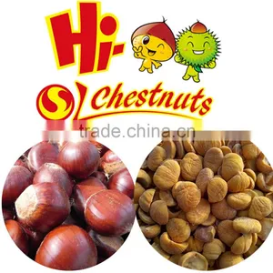 Frozen Peeled Chestnuts-Best Chestnuts Quality--Whole Sale Chestnuts Price thumbnail-5