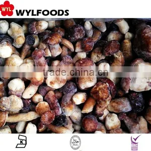 Frozen Boletus Edulis Yunnan for Hot Sale thumbnail-3