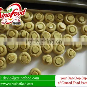 Canned Food Canned Mushrooms thumbnail-2