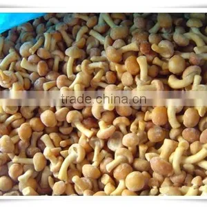 Best Selling Fresh Frozen Shiitake Mushroom thumbnail-4