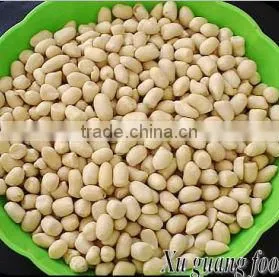 Long Type Good Quality Blanched Peanut thumbnail-1