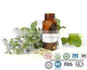 Pure 100%Borage Oil Supply thumbnail-4