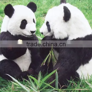 Professional Design Cute Factory Price Cute Cuddly Animals thumbnail-2