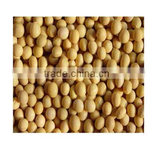 Flat Feed Pellet Machine in China thumbnail-5