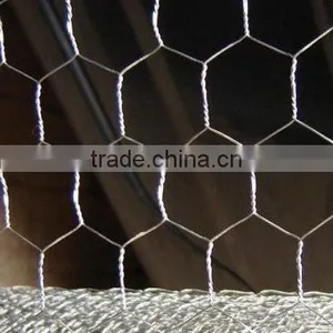 Pvc Coated Chicken Wire Mesh thumbnail-1