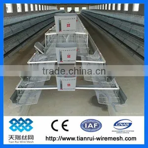 Automatic Chicken Egg Layer Cages thumbnail-1
