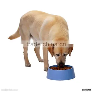 Single Screw Pet Food Machine thumbnail-4