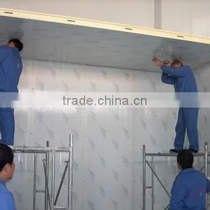 2016 Electrical Supporting Food Machinery Fruit Meat Seafood Cold Storage Room Price thumbnail-2
