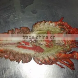 Frozen Cooked /raw Lobster thumbnail-1