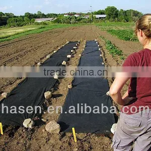 High Quality Agriculture pp Spunbond Nonwoven Fabric thumbnail-1