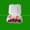Bagasse Disposable Bento Lunch Box thumbnail-1