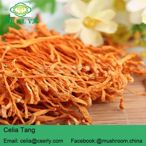 Herb Flower Dried Cordyceps thumbnail-2