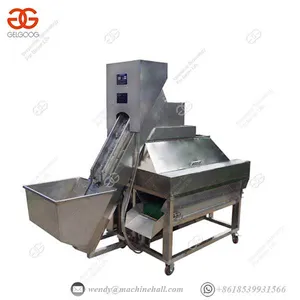Fully Automatic Fruit Processing Plant Automatic Onion Peeler thumbnail-1