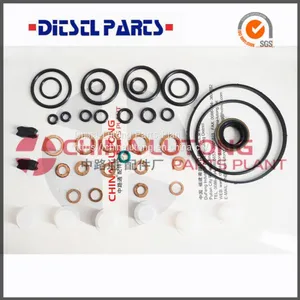Fuel Injector Pump Rebuild Kit 800457 ve Pump Rebuild，injection Pump Repair Kit thumbnail-1