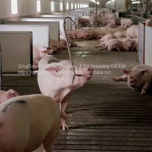 Low Cost Pig Farm House Building Construction Professional Design for Pig House thumbnail-4