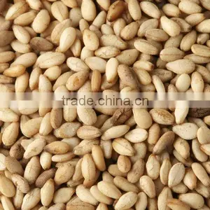 ROASTED SESAME SEEDS thumbnail-1