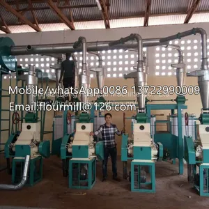 Small Production 10T Wheat Flour Milling Machine Wheat Meal Processing Line Grain Milling Machine thumbnail-4