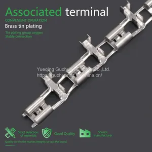 6.3 Flag Plug Spring Straight With Direct Feeding Brass Tinned Connector thumbnail-5