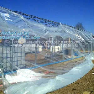 Plastic Film Agriculture Greenhouse,6 Mil Poly Anti-uv Plastic Greenhouse Film,Anti-fog UV Resistant,mushroom,TOMATO PAC thumbnail-1