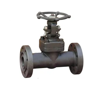 High Quality Forged Steel Gate Valve High Temperature and High Pressure Manual Flange Gate Valve thumbnail-1
