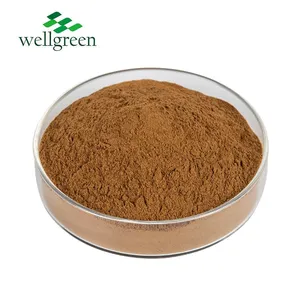 Top Grade Price Sophora Japonica Extract Dihydrate 98 117-39-5 Bulk Quercetin Powder thumbnail-2