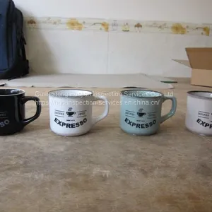 Mug Professional Inspection on Site Inspection thumbnail-5