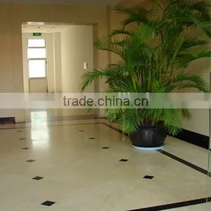 Wholesale Natural Polished Sunny Yellow Floor Marble Slabs thumbnail-3