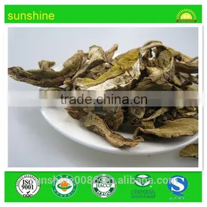 Porcini Mushroom Mycelium Sale Mushroom Extract thumbnail-1