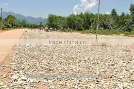 Tapioca Chips Vietnam, Dried Cassava Slice With Best Price and Quailty Commitment thumbnail-1