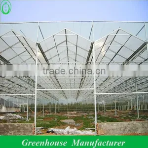 4mm Polycarbonate Greenhouse Anti- High Wind and Snow thumbnail-1