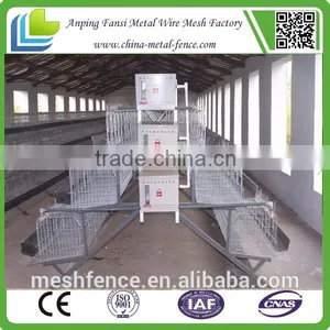 2016 Hot Sale Layer Poultry Cages 4 Tiers 3 Tiers thumbnail-2